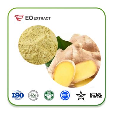 Ginger Extract Powder