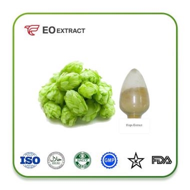 Hops Flower Extract
