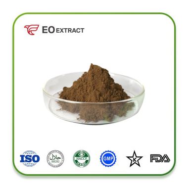 Lotus Leaf Extract