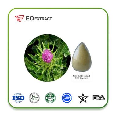 Milk Thistle Extract