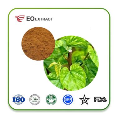 Mulberry Extract Powder