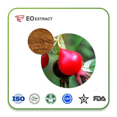 Rose Hip Extract Powder