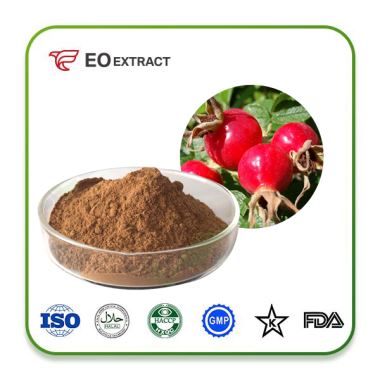 Rose Hip Extract