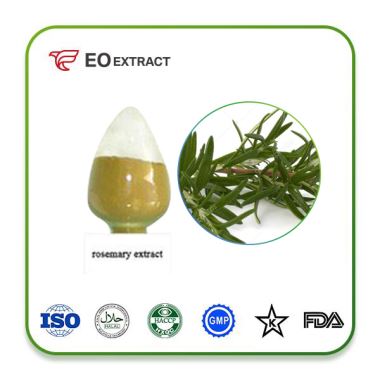 Rosemary Leaf Extract