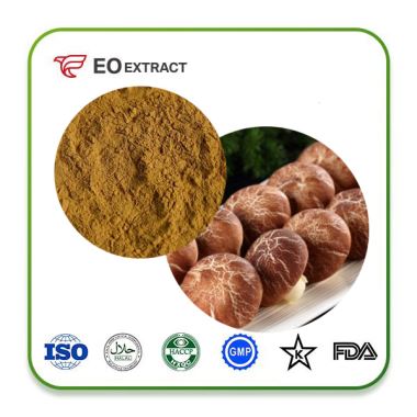 Shiitake Mushroom Extract Powder