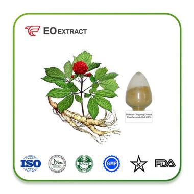 Siberian Ginseng Extract