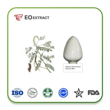 Sophora Root Extract