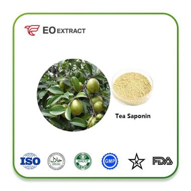 Tea Seed Extract