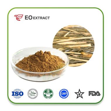 White Willow Bark Extract