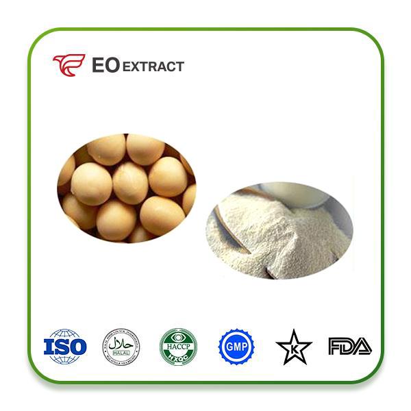 Soybean Protein Powder