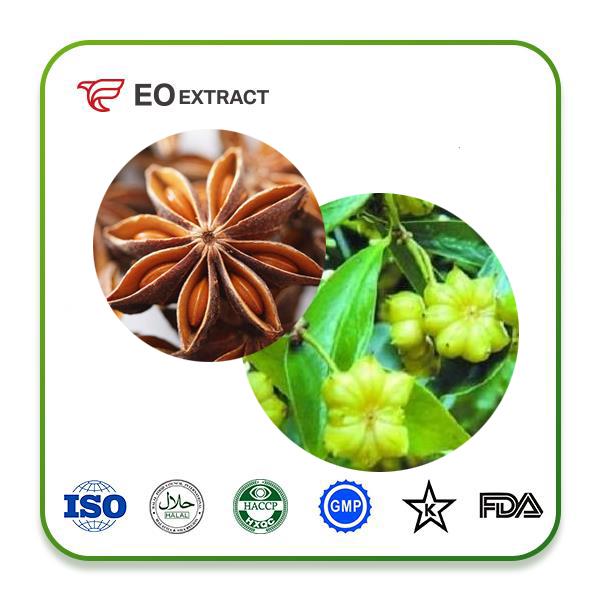 Star Anise Fruit