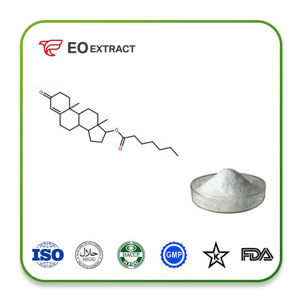 Testosterone Enanthate