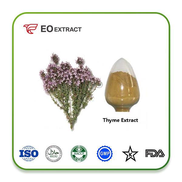 Thyme Leaf Extract