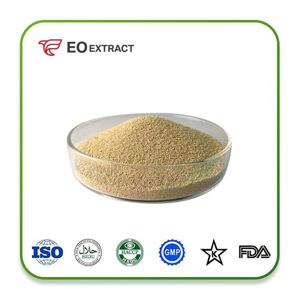 Torula Yeast