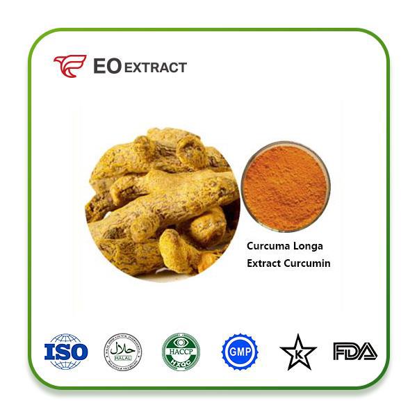 Turmeric Root Extract