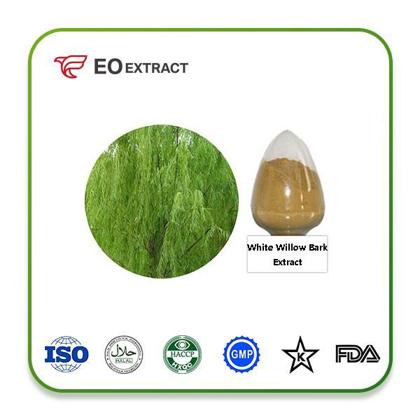 White Willow Bark Extract